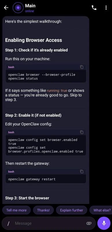 Chat Screen